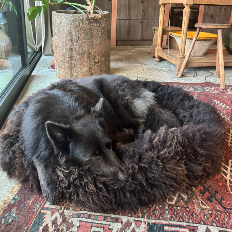 DOG BASKETS - 100% Natural Sheepskin