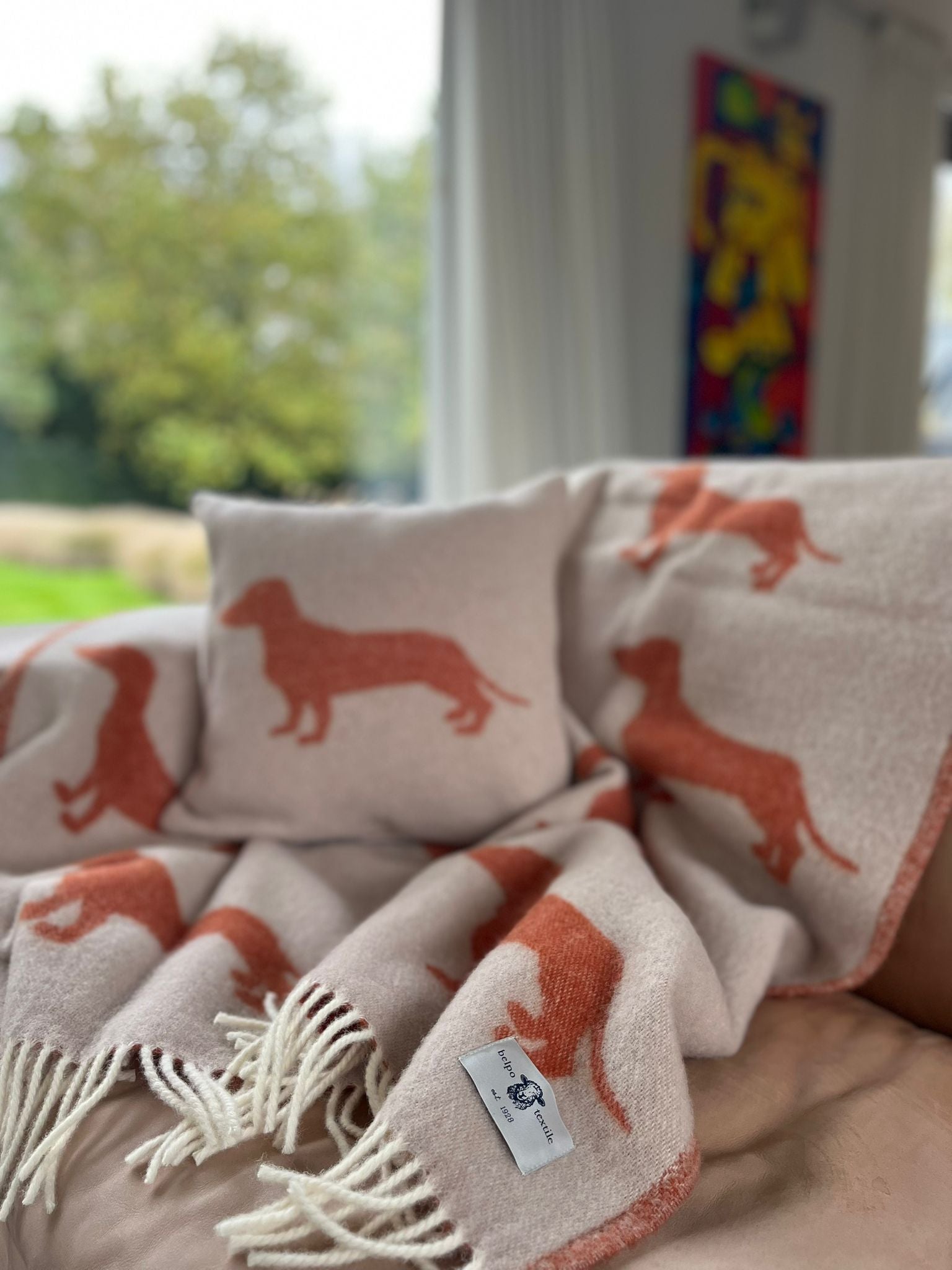 Teckel Plaid Rouille - 100% Laine Vierge