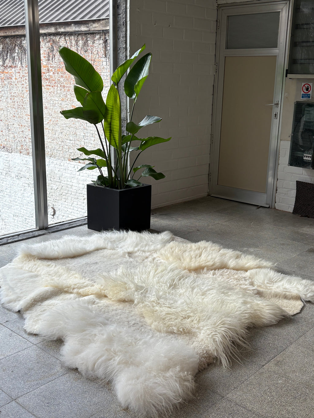 Handmade Natural Sheepskin Rug - White