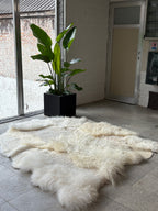 Handmade Natural Sheepskin Rug - White