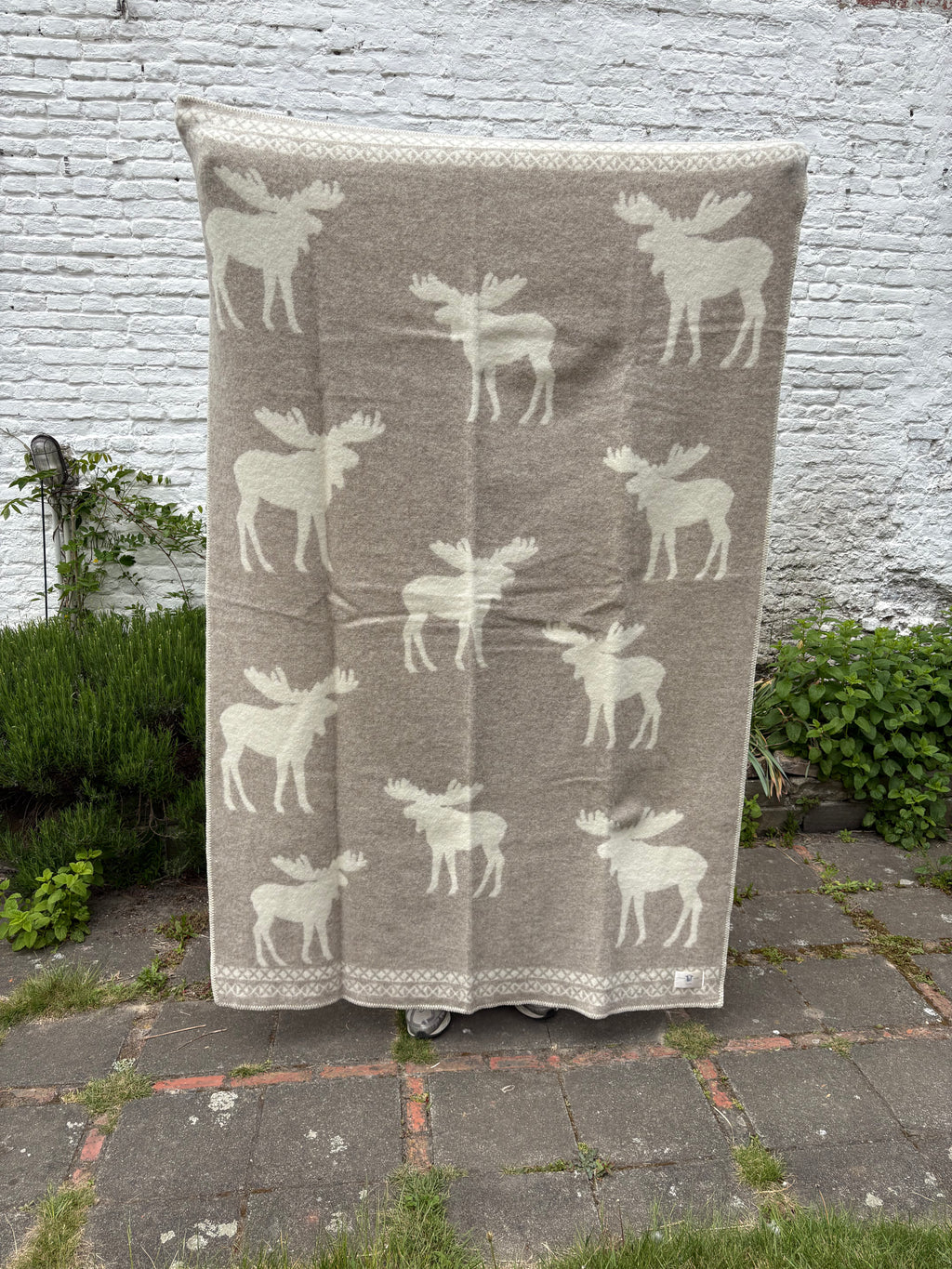 Moose Plaids - 2-Sided - 90% New Wool / 10% Cotton