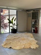 Handmade Natural Sheepskin Rug - White