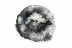 Dog Baskets Grey - Natural Sheepskin