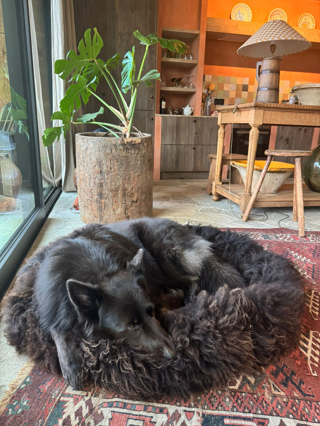 Dog Baskets - Natural Sheepskin