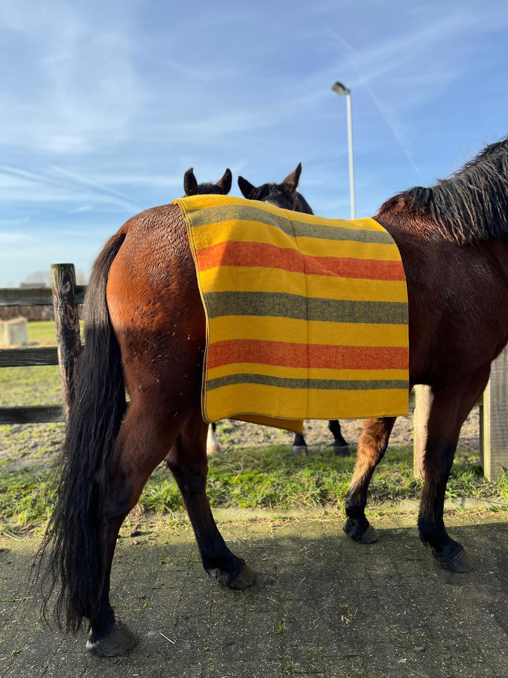 NewMarket Blanket XL - 100% Merino Wool