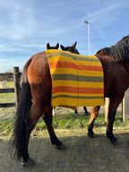 NewMarket Blanket XL - 100% Merino Wool